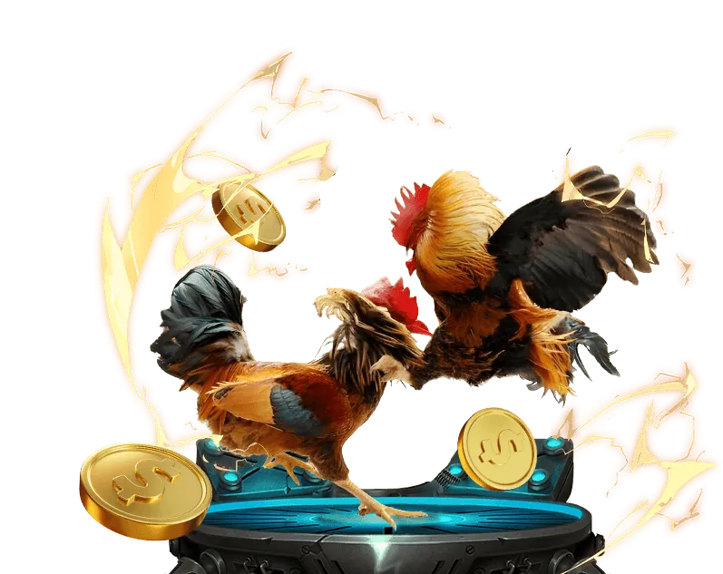 Bảo mật ứng dụng Zing88